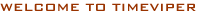 Web-based time-tracking software